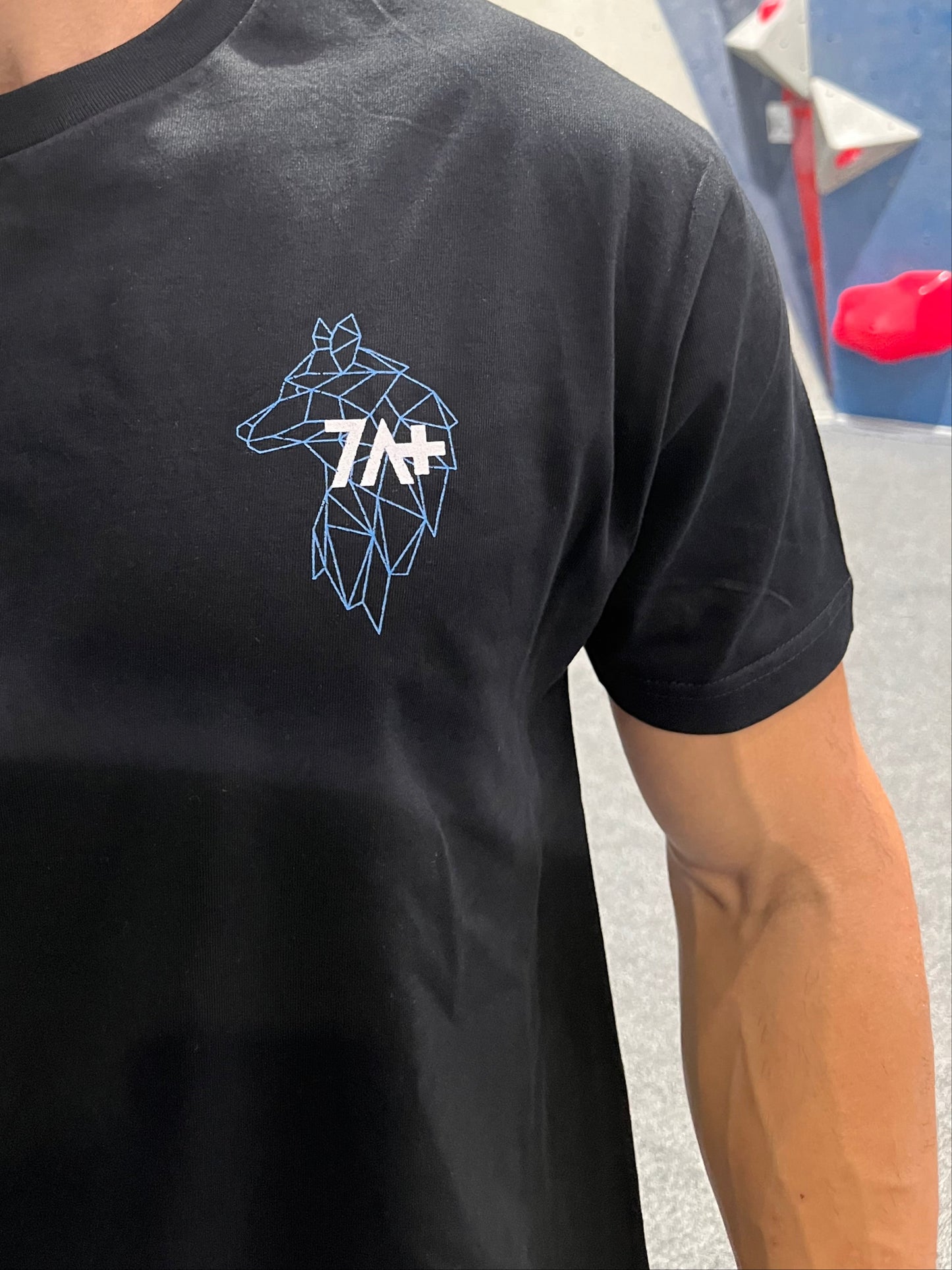 Camiseta negra delantera, the wolves en color negro.