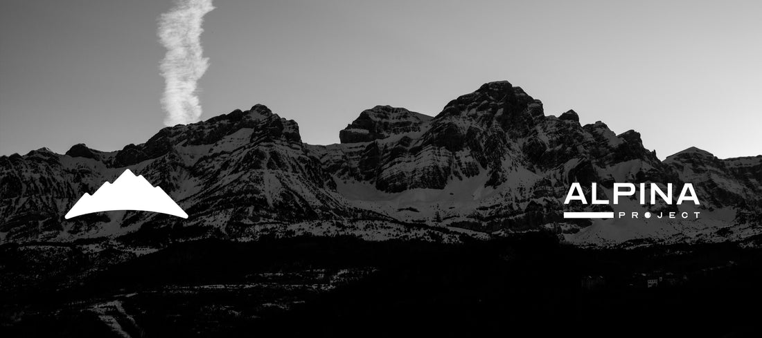 COLABORADOR: ALPINA PROJECT