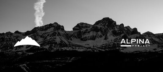 COLABORADOR: ALPINA PROJECT