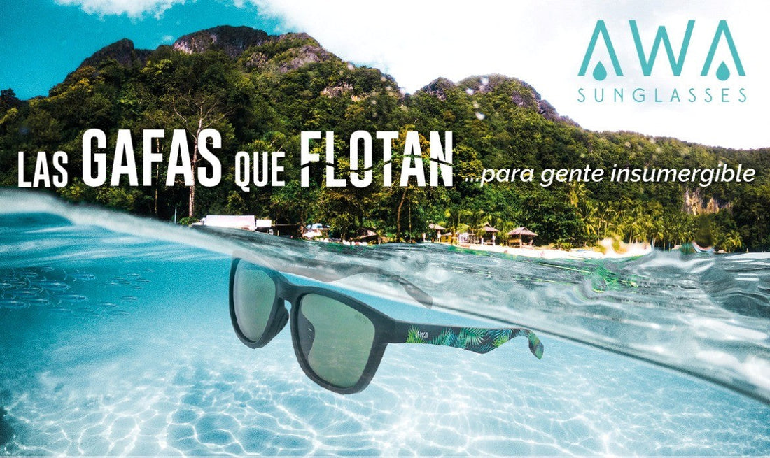 COLABORADOR CLOVER CUP: AWA SUNGLASSES
