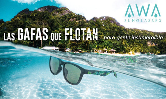 COLABORADOR CLOVER CUP: AWA SUNGLASSES
